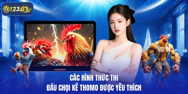 Các hình thức thi đấu chọi kê Thomo được yêu thích