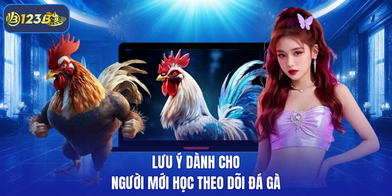 Lưu ý dành cho người mới học theo dõi đá gà